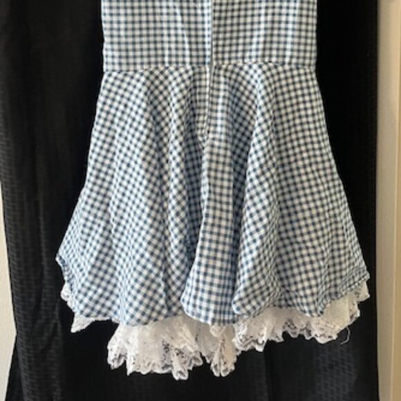 Wizard of Oz ~ Dorothy Halloween Costume ~ Cute - Picture 7 of 9